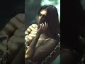 Vaani Kapoor Vaani Kapoor Edit After Effects Bollywood