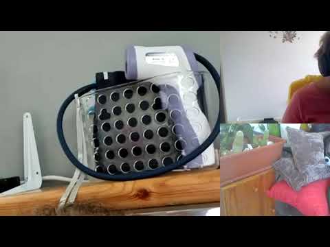 Hipn regres 362 Alexandra si cultele C si A Moraru