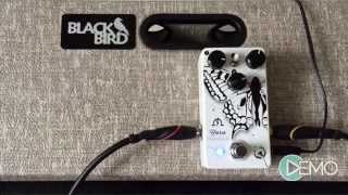 Ohmless Pedals Yara Optical Compressor - What To Know