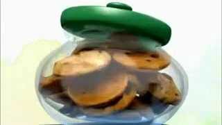 The pig and the cookies - Crazy All My Life