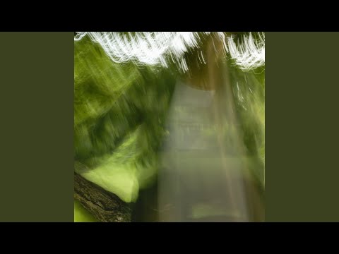 Video thumbnail for Ali