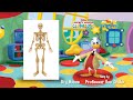 Professor Ludwig Von Drake - Dry Bones (The Wiggles) (Weights Cover)