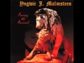 End Of My Rope  - Yngwie J. Malmsteen Facing The Animal