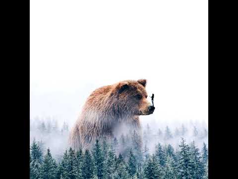 Dolly Parton & Sia - Here I Am (Audio)