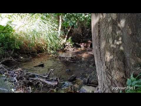 Ausfahrt Ausflug Velomobil Strada Carbon am Bach in Heßlingen mit Picnic