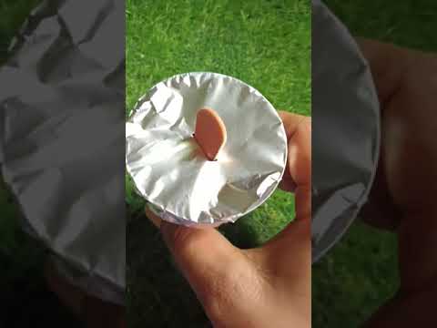 magga ice cream#frooti ice cream#trendingshorts #shortsvideo