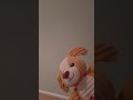 Free To Use Baby Mozart Dog Clip Not Scary