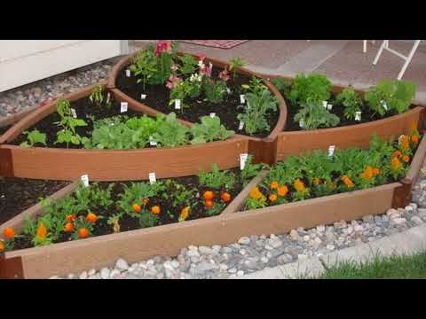 download lagu mp3 mp4 Small Gardens Pinterest, download lagu Small Gardens Pinterest gratis, unduh video klip Small Gardens Pinterest