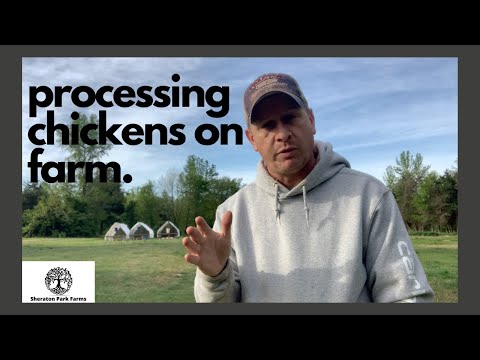 Pastured Poultry Processing - Processing Chickens on Farm