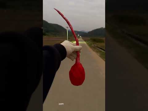 TES PETASAN TERMURAH VS TERMAHAL⁉️