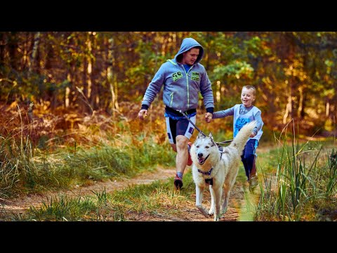 Rik answers questions about Avini Products ZMunity and Motion