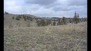 Kruder & Dorfmeister - Gone