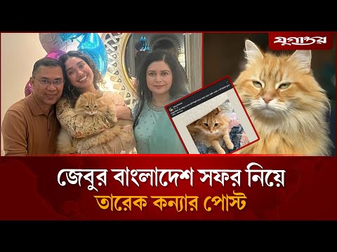 জেবুর বাংলাদেশ সফর নিয়ে তারেক কন্যার পোস্ট | Zaima Rahman | Pet Cat | Jebu | Jugantor