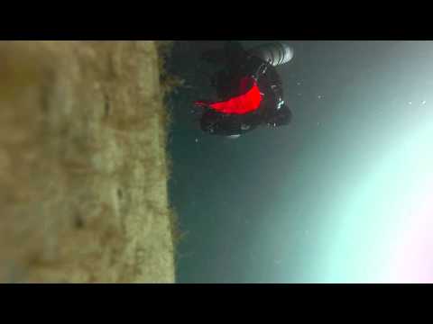 dSMB deployment - reel failure