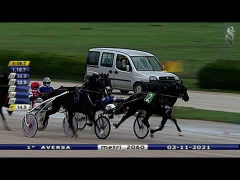 Aversa trotto 3 Novembre 2021 - 1° Corsa