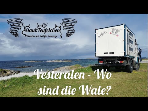[3] Vesteralen - Wo sind die Wale? /Norwegen