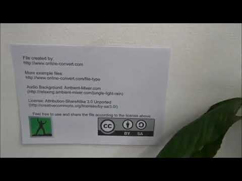 Cha và con gais. example small