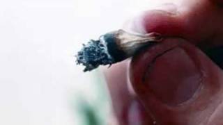 O Toco - Raimundos ( Letra )