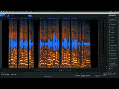 iZotope RX: RX 10 Video Manual - RX10  the DAW