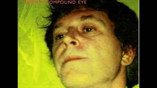 Robert Pollard - Gold (From a Compound Eye)