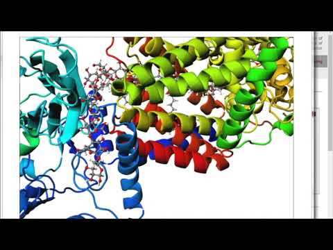 PDB Reader Tutorial 4 - Glycolipid and CGenFF (4HG6, 1L6X)