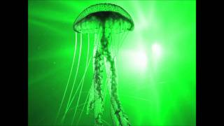 Deep Chill Meditation: DJ Fray || Deep Oceans