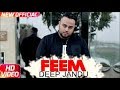 Feem FULL SONG Deep Jandu Desi Crew New Punjabi Songs 2017