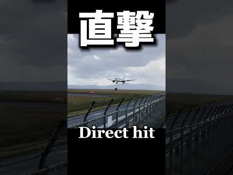 日本:別の飛行機の部品が空から落ちる