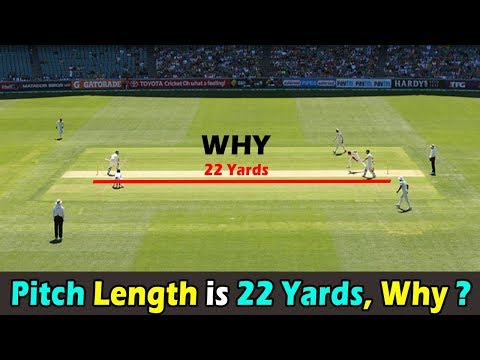 YouTube video about The Length of a Cricket Pitch: How Far Does it Extend?