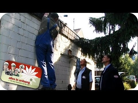 Ordnungsbeamte tolerieren Schwarzarbeit | Alles In Ordnung