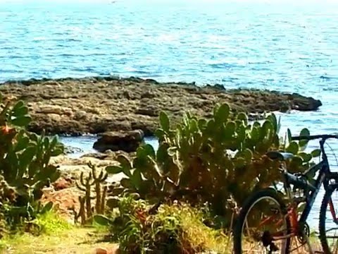 WOW!Aldona Orlowska - BARKA ('Pescador de Hombres') - New 2016