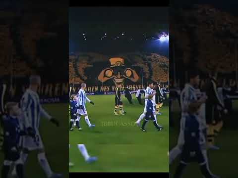 Borussia Dortmund's Amazing Banner