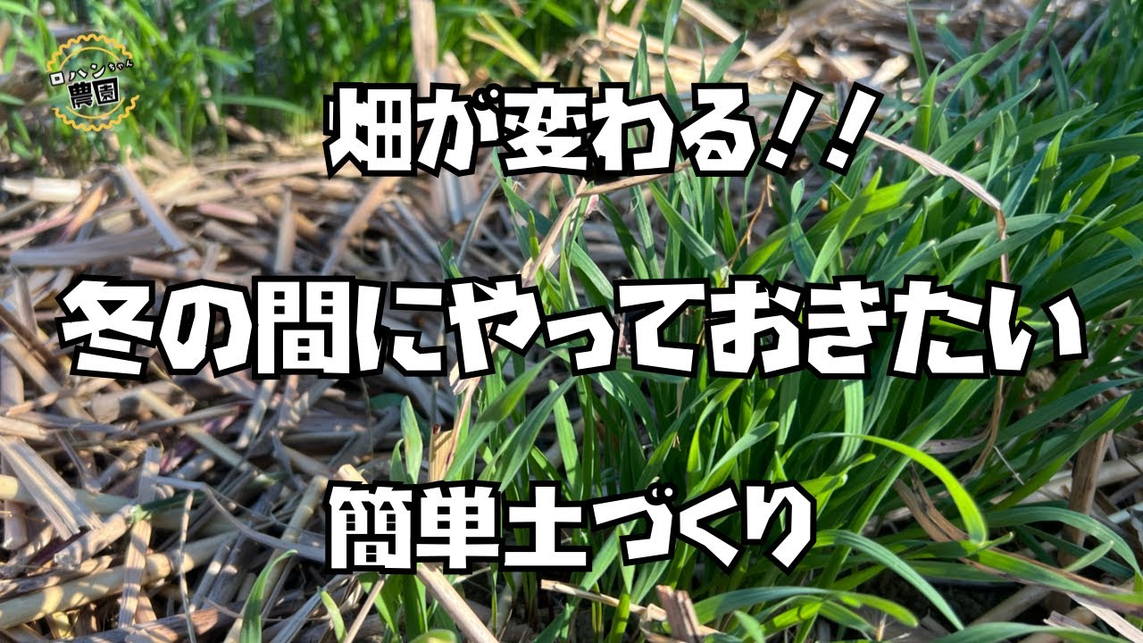 重要なのはこれ！！今から始める【土づくり】【農家の家庭菜園】