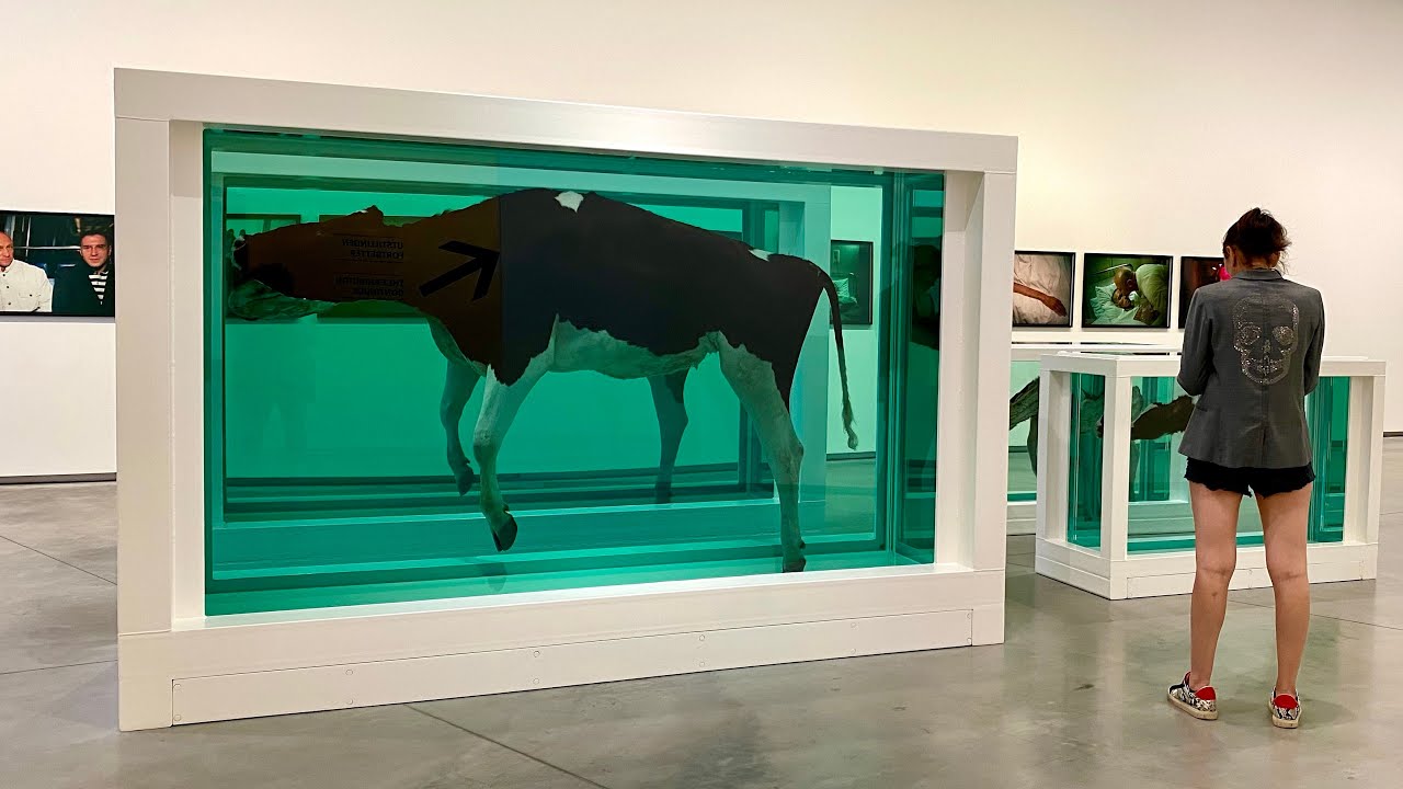 Take a stroll through Astrup Fearnley Museum through the eyes of visitor.