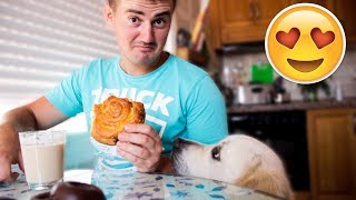 What Does Breakfast Look Like in a Family That Has a Golden Retriever