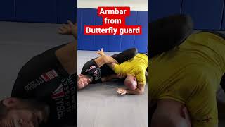 Mastering the Sneaky Arm Bar Technique from Butterfly Guard for Ultimate Success