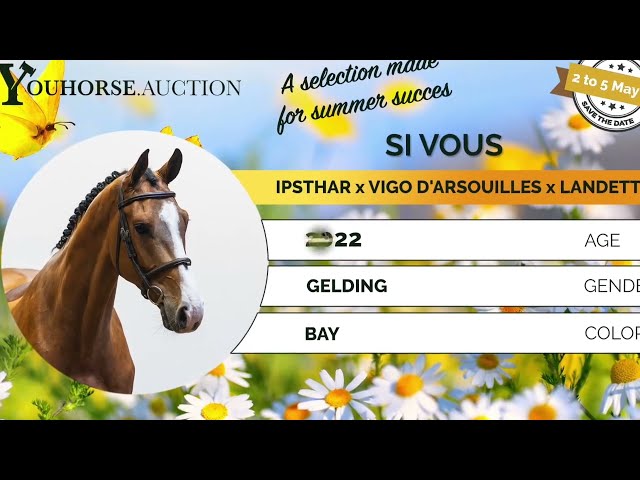 Si Vous homevideo