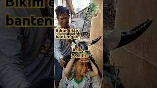 Download lagu Bikin ekor Bantengan #diy #bantenganmalang #bantenganindonesia #mberot #senibudaya #kreatif #asik mp3 Download lagu Bikin ekor Bantengan #diy #bantenganmalang #bantenganindonesia #mberot #senibudaya #kreatif #asik mp3