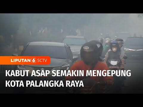 Kabut Asap di Palangka Raya Semakin Tebal, Pengguna Jalan Terus Terganggu | Liputan 6