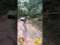 VEREADOR VITÃO DO POVO NO CORTE DE ÁRVORES CAÍDAS NAS ESTRADAS DE JUQUITIBA