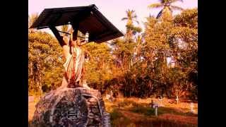 preview picture of video 'Holy Rosary Church Badalgama  Sri Lanka'