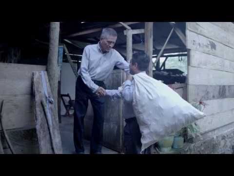 SOCIOS DE FE ( 3ER TRIMESTRE 2018) 7/13