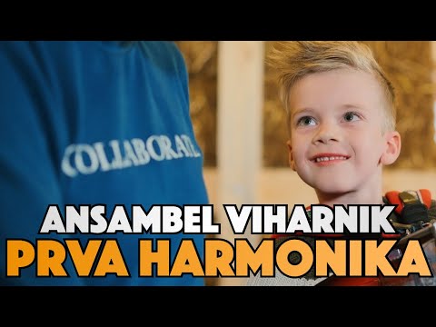 Ansambel Viharnik - PRVA HARMONIKA ( 2023 )