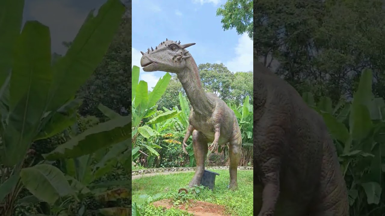 YouTube Short thumbnail