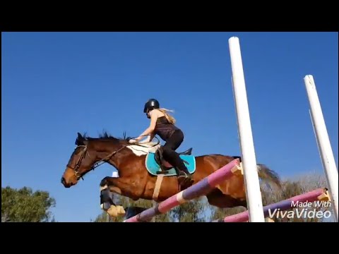 Seyunique Equestrian - Scared to be lonely