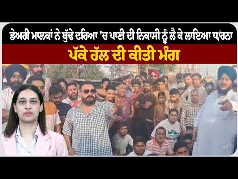 ਡੇਅਰੀ ਮਾਲਕਾਂ ਨੇ ਬੁੱਢੇ ਦਰਿਆ 'ਚ ਪਾਣੀ ਦੀ ਨਿਕਾਸੀ ਨੂੰ ਲੈ ਕੇ ਲਾਇਆ ਧ/ਰਨਾ, ਪੱਕੇ ਹੱਲ ਦੀ ਕੀਤੀ ਮੰਗ