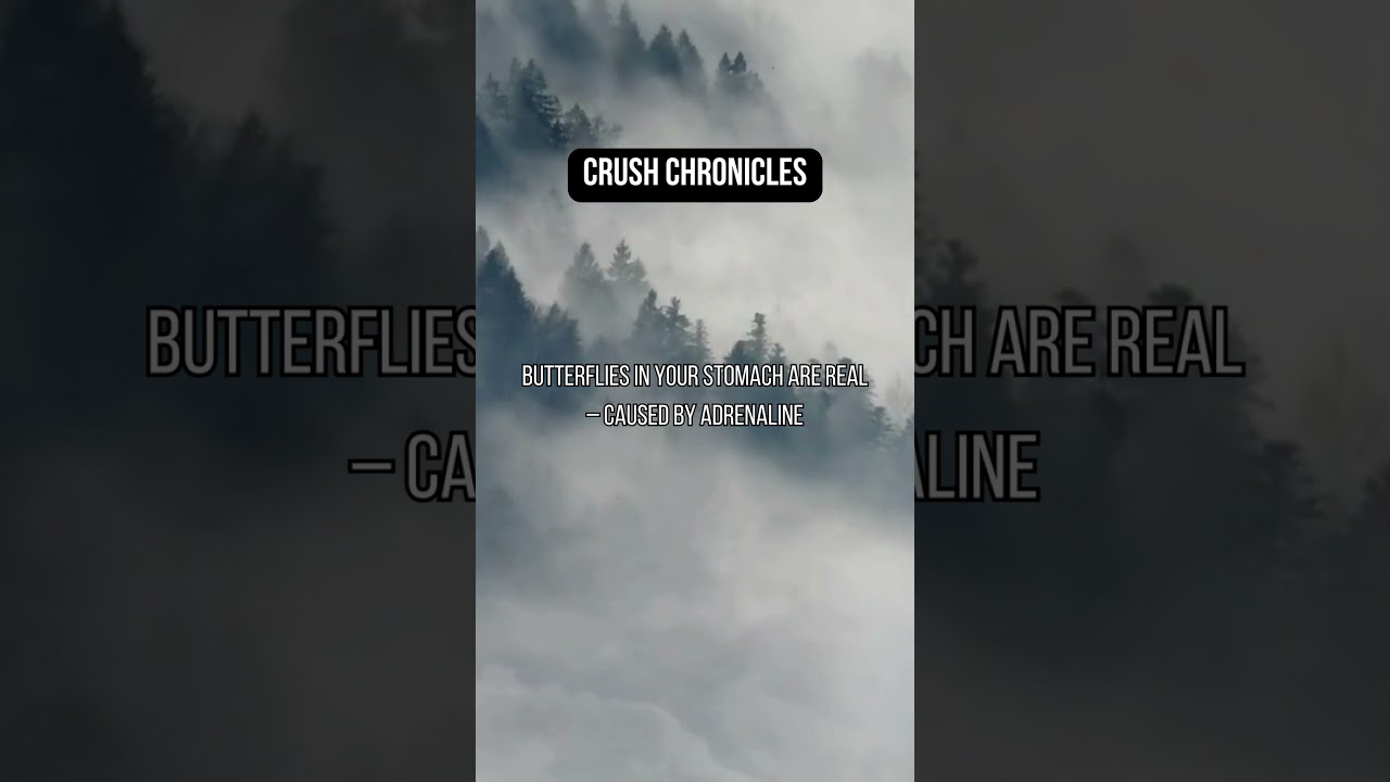 Unveiling the Wonders of Quantum Computing: A Fascinating Journey into the Future of Technology