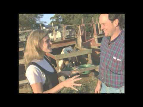 Mixtures & Solutions