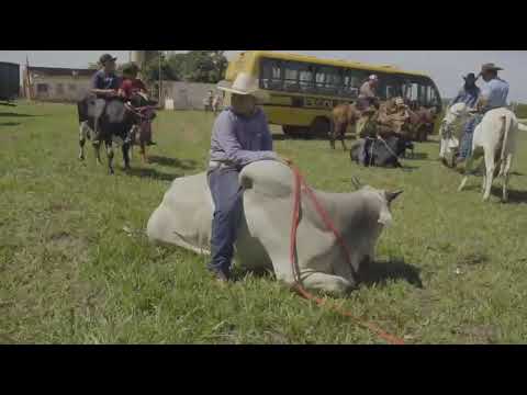 Cavalgada Dirce Reis 2026