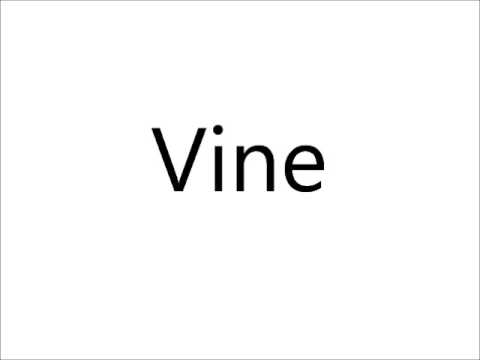 How to Pronounce Vine